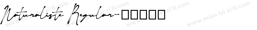 Naturaliste Regular字体转换